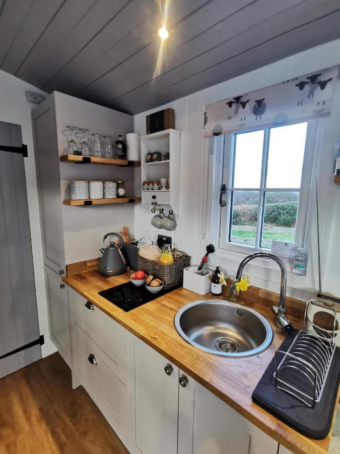 Elvan Farm Shepherd'S Hut Villa Exeter Eksteriør billede