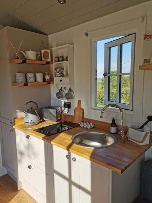 Elvan Farm Shepherd'S Hut Villa Exeter Eksteriør billede